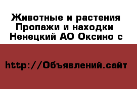 Животные и растения Пропажи и находки. Ненецкий АО,Оксино с.